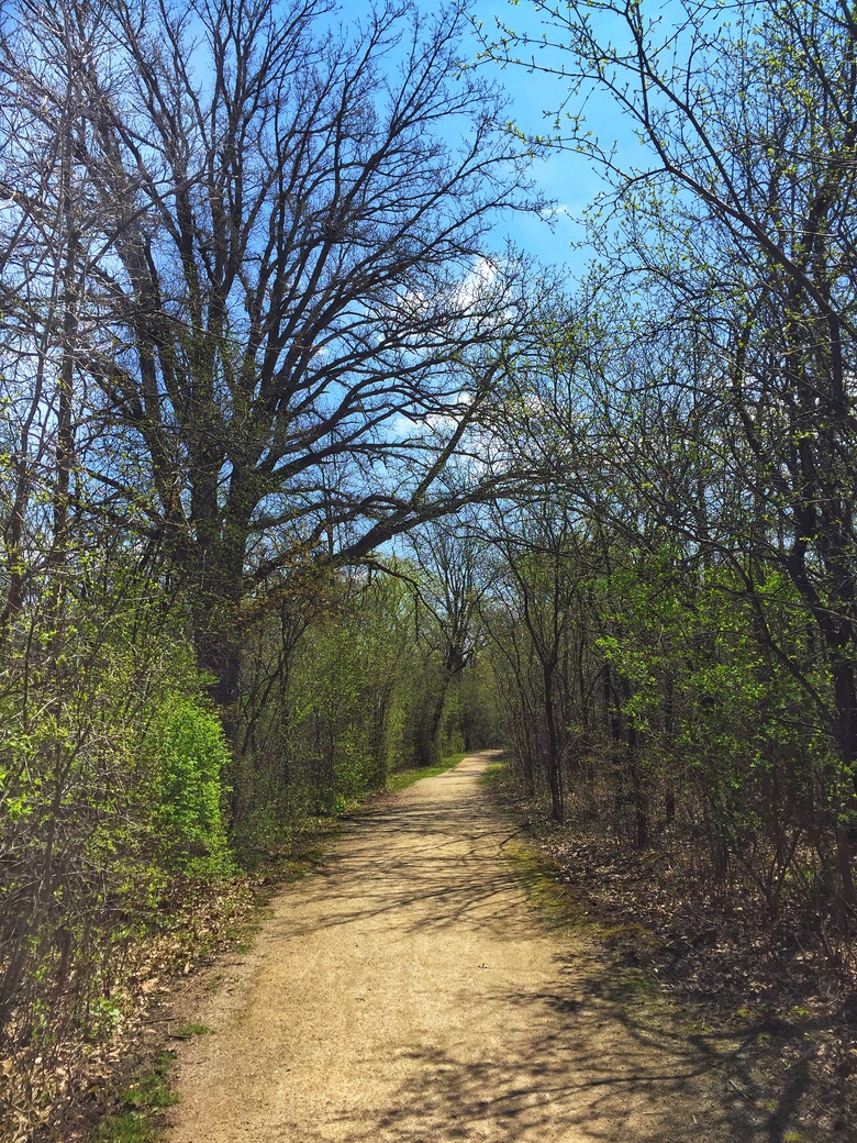 Family Friendly Trails in Burlington - Sheldon Creek Path