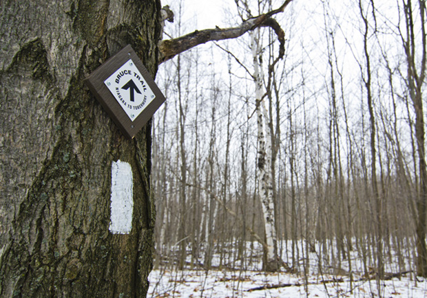 Hiking Trails near Barrie  - Mono Cliffs Provincial Park