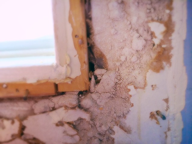 Crumbling drywall around a window case - things to do when you move into a new home.