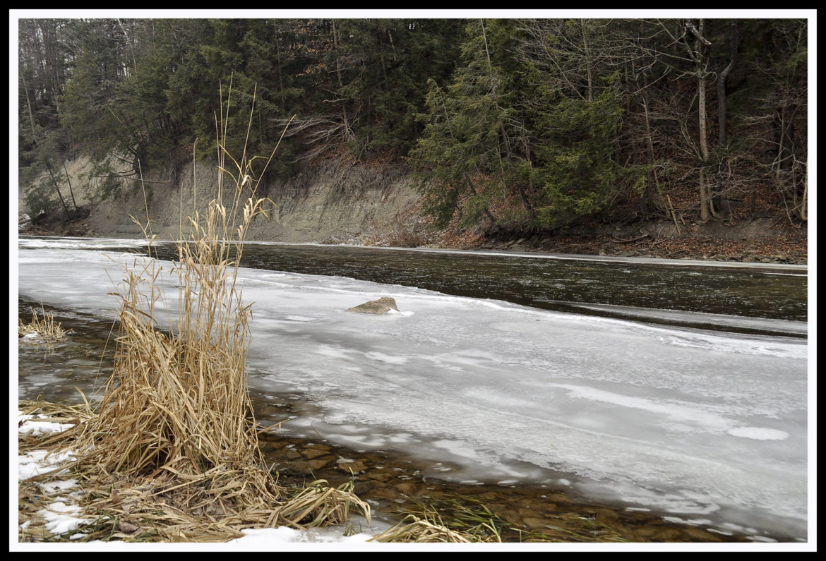 erindale park bike trail