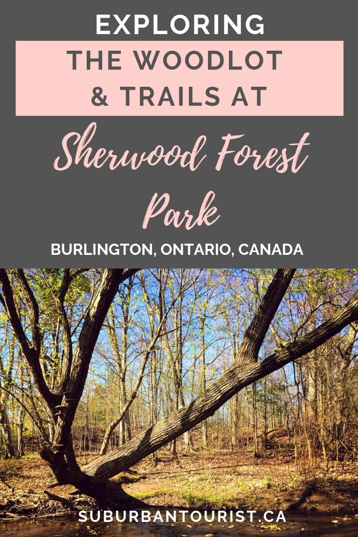 Exploring the urban Sherwood Forest Park in Burlington - a woodlot along Sheldon Creek in the eastern park of the city and trails. #Burlington #BurlON #Ontario #parks #familyparks #nature #woodlot #exploring #wildflowers