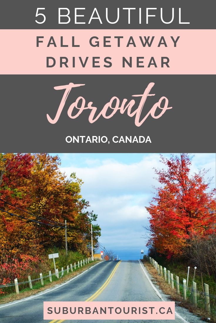 Fall drives near  Toronto - a road