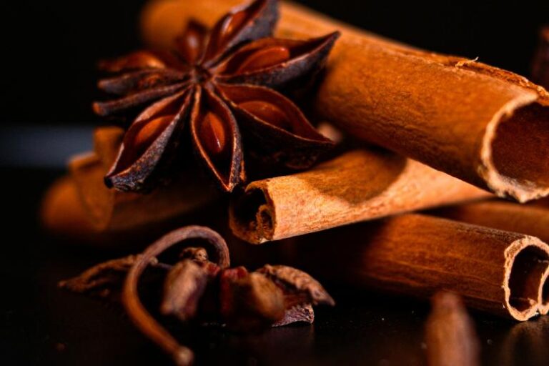 Best Fall Scents For The Home: Create A Cozy Aesthetic