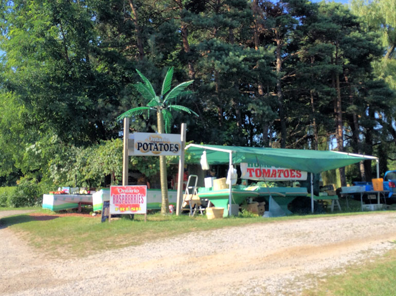 A fruit and vegetable stand in Southwest Ontario - food road trips in Southern Ontario. 