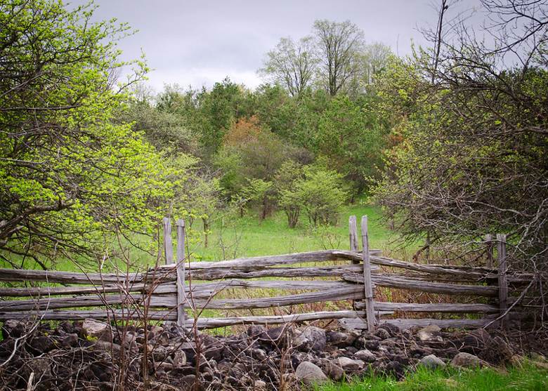 Why We Love Hiking At Starkey Hill Trail In Guelph