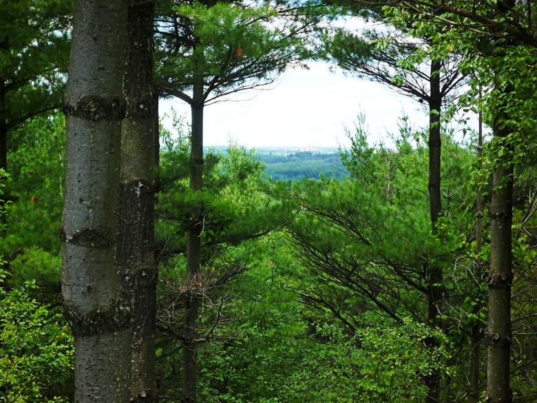 View from the top of Starkey Hill.