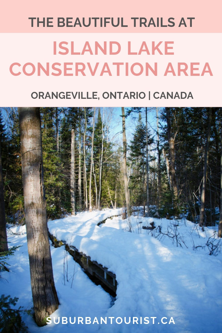 Exploring the beautiful trails at Island Lake Conservation Area near Orangeville, Ontario in winter is a wonderful experience. Especially if it's early in the morning and it's quiet around you. #winterwonderland #trails #Orangeville #Ontario #Canada #outdoors #naturelovers