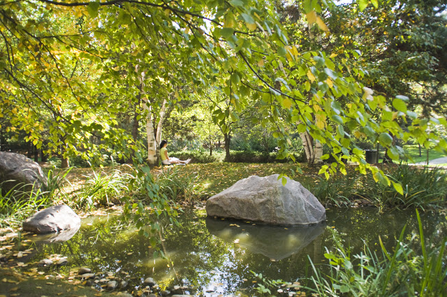 Kariya Park: A Secret Zen Garden In Mississauga