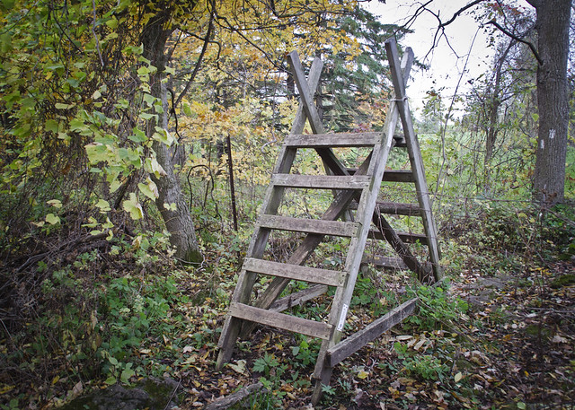 On the trail - a ladder at Hilton Falls, Ontario