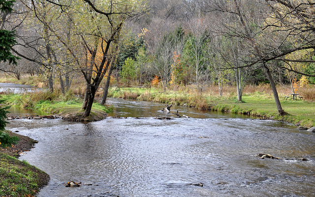 Lowville Park in the north part of Burlington. Bronte Creek. Things to do in Burlington, Ontario.
