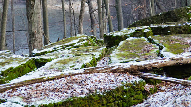 Mossy stones covered by snow at Dundas Valley Conservation Area