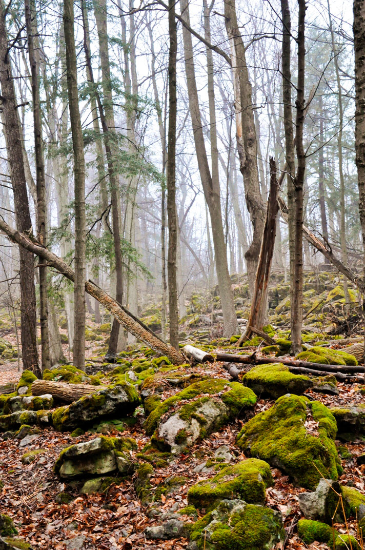 The mossy stones at this Conservation Area make it beautiful even in the early Spring. The hiking trails at Crawford Lake Conservation Area range from an easy boardwalk around the meromictic lake to more advanced hikes on rocky and rooted paths along the Niagara Escarpment. #Toronto #hiking #trails #hikingtrails #hikingtips #history #FirstNations #Ontario #Traveldestinations #travel #adventure #nature #foggy #landscape