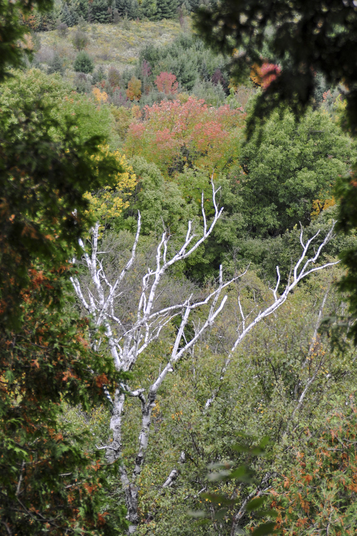 Mount Nemo Conservation Area Is Magic For Early Morning Photos