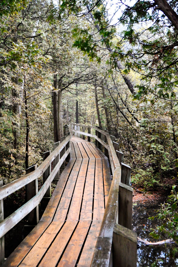 The wooden boardwalk around Crawford Lake makes it easy to explore the beautiful natural landscape without damaging it. This conservation area is located near Toronto, making it a popular weekend hiking spot. Read about what you can experience at this cool, ancient lake, the First Nations reconstruction and the amazing hiking trails. #hikingtips #hikingtrails #trails #Toronto #nature #traveldestinations #traveltips