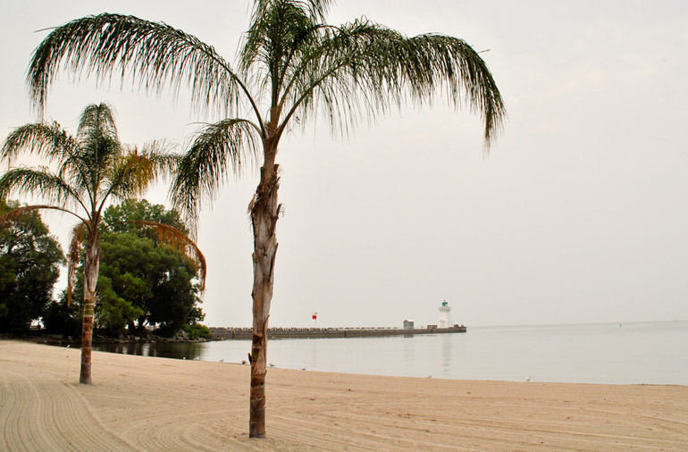 The palm trees at Port Dover. For a different kind of day trip from Toronto, head west, doing a drive along Lake Erie. Read about the ports, beaches, dining and other activities you can do along the way. #LakeErie #daytrips #Ontario #Toronto #Travelideas #traveltips #wanderlust #traveltip #roadtrip #foodie #beaches