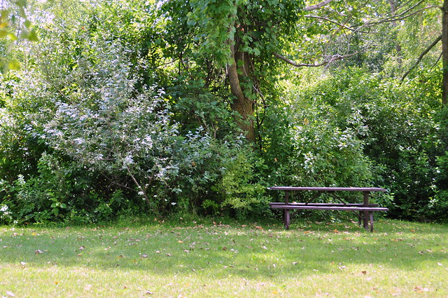 Park bench at Port Burwell Provincial Park