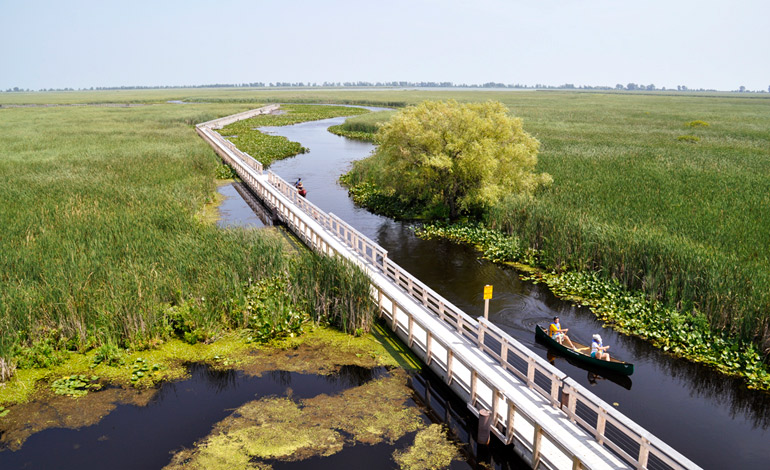 Explore Point Pelee Marsh. For a different kind of day trip from Toronto, head west along Lake Erie. Read about the ports, beaches, dining and other activities you can do along the way. #LakeErie #daytrips #Ontario #Toronto #Travelideas #traveltips #wanderlust #traveltip #roadtrip #foodie #beaches