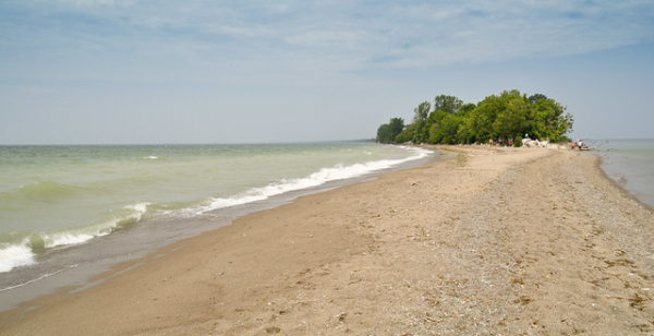 Visiting The Spectacular Point Pelee National Park Is A Must Do