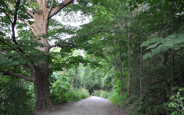 Riverwood Conservancy in Mississauga