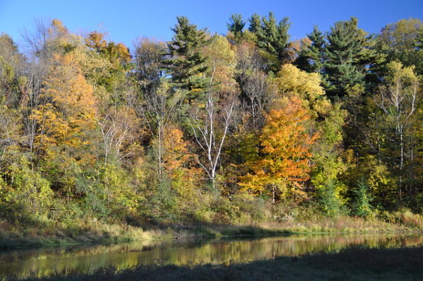 Crooks Hollow Conservation Area: Hiking Beautiful Trails