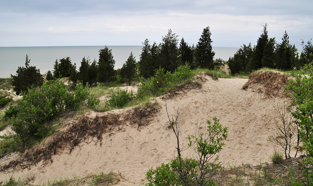 Day Trips From Toronto  - Pinery Provincial Park sand dunes