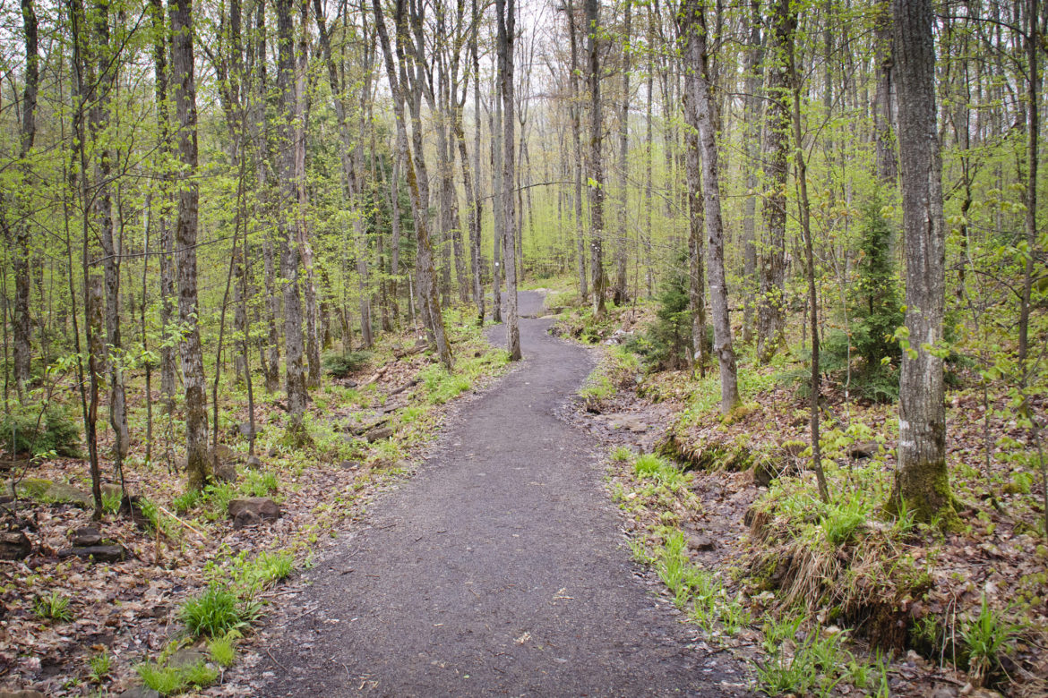 algonquin bike trail