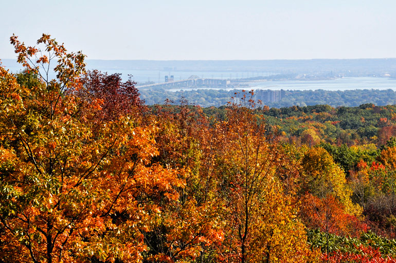 Read up on how Hamilton is a top destination for fall foliage in Ontario. It's one of the best Fall drives from Toronto as you wind your way through quiet, colourful country roads. It makes one of the top Fall day trips from Toronto nature lovers. Read up on 5 Fall day trips from Toronto to your Toronto fall bucket list. #fallfoliage #daytrips #Toronto #bucketlist #Fall #Ontario #falltravel #Ontariotravel #Torontotravel | fall foliage Toronto | Fall day trips from Toronto